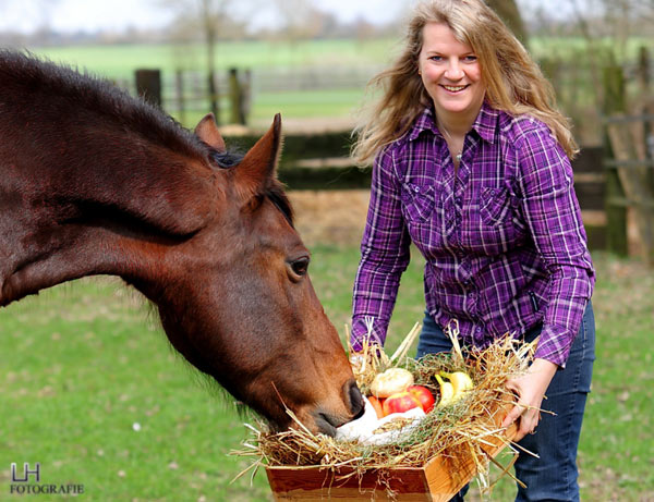 Optimales Futter für Pferde – TWI-Futterberater helfen bei der Auswahl im riesigen Angebot